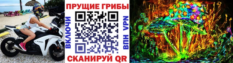 хочу наркоту  Болохово  Галлюциногенные грибы MAGIC MUSHROOMS 