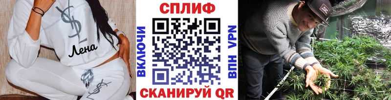 Бошки Шишки AK-47  Болохово 